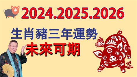 2024生肖豬運勢|2024屬豬幾歲、2024屬豬運勢、屬豬幸運色、財位、禁忌